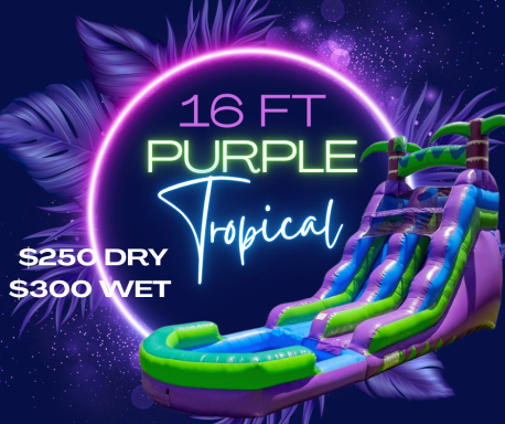 16 ft tall purple tropical water slide with pricing details for dry and wet use.